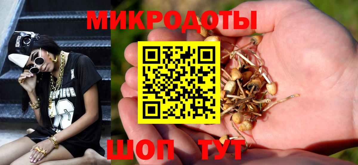Галлюциногенные грибы Psilocybe  Вход с VPN  Луга 
