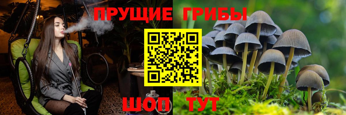 Псилоцибиновые грибы прущие грибы Луга